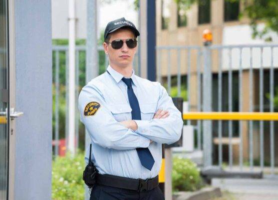 vigilanza privata guidonia